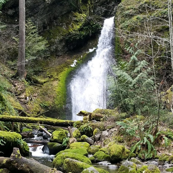 rainier121